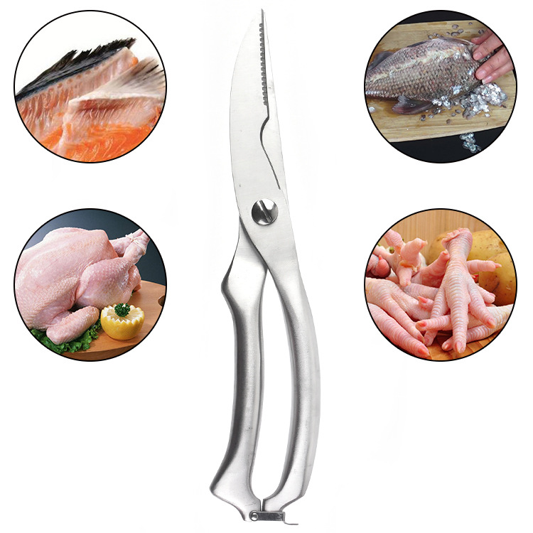 Gunting Tulang Ayam Dapur Ungg - Kitchen Gadgets And Appliances ulasan dan harga