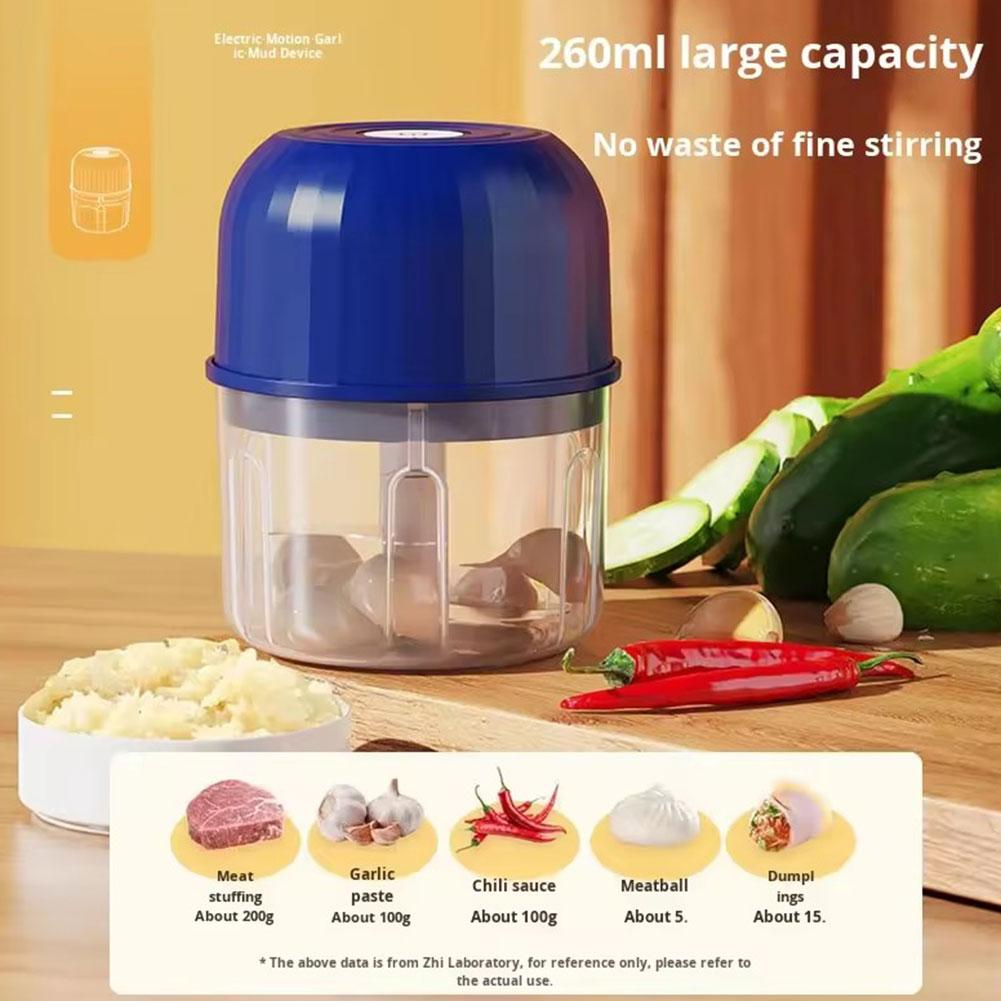 Penggiling Bawang Putih Mini E - Kitchen Gadgets Electronic ulasan dan harga